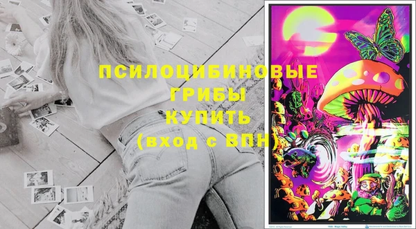 тгк Михайлов