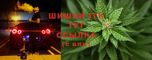 тгк Михайлов