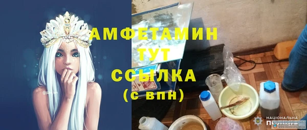 ПСИЛОЦИБИНОВЫЕ ГРИБЫ Михайловка