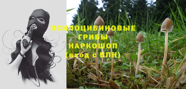 тгк Михайлов