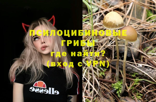 тгк Михайлов
