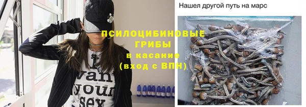 ПСИЛОЦИБИНОВЫЕ ГРИБЫ Михайловка
