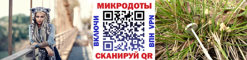 Псилоцибиновые грибы ЛСД  как найти закладки  Невинномысск 