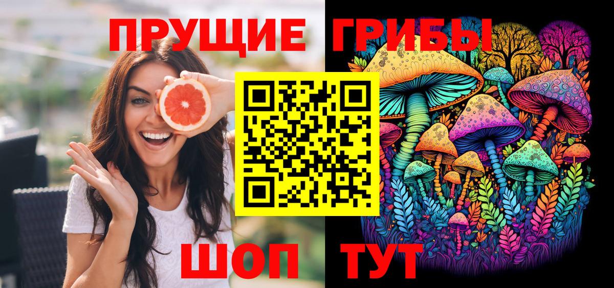 Псилоцибиновые грибы мицелий Невинномысск