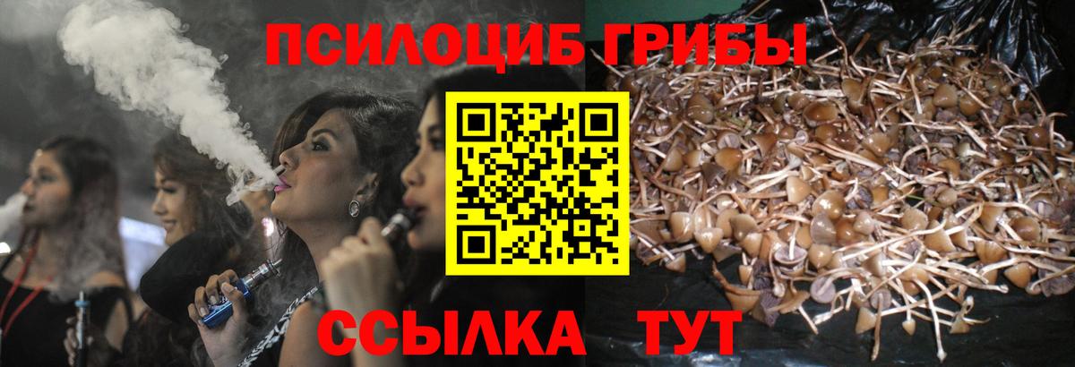 Невинномысск  Псилоцибиновые грибы Psilocybe  купить закладку  Вход с VPN 