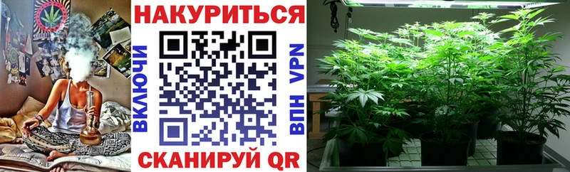 Конопля Amnesia  продажа наркотиков  Невинномысск 